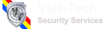Vela Tech Security Logo